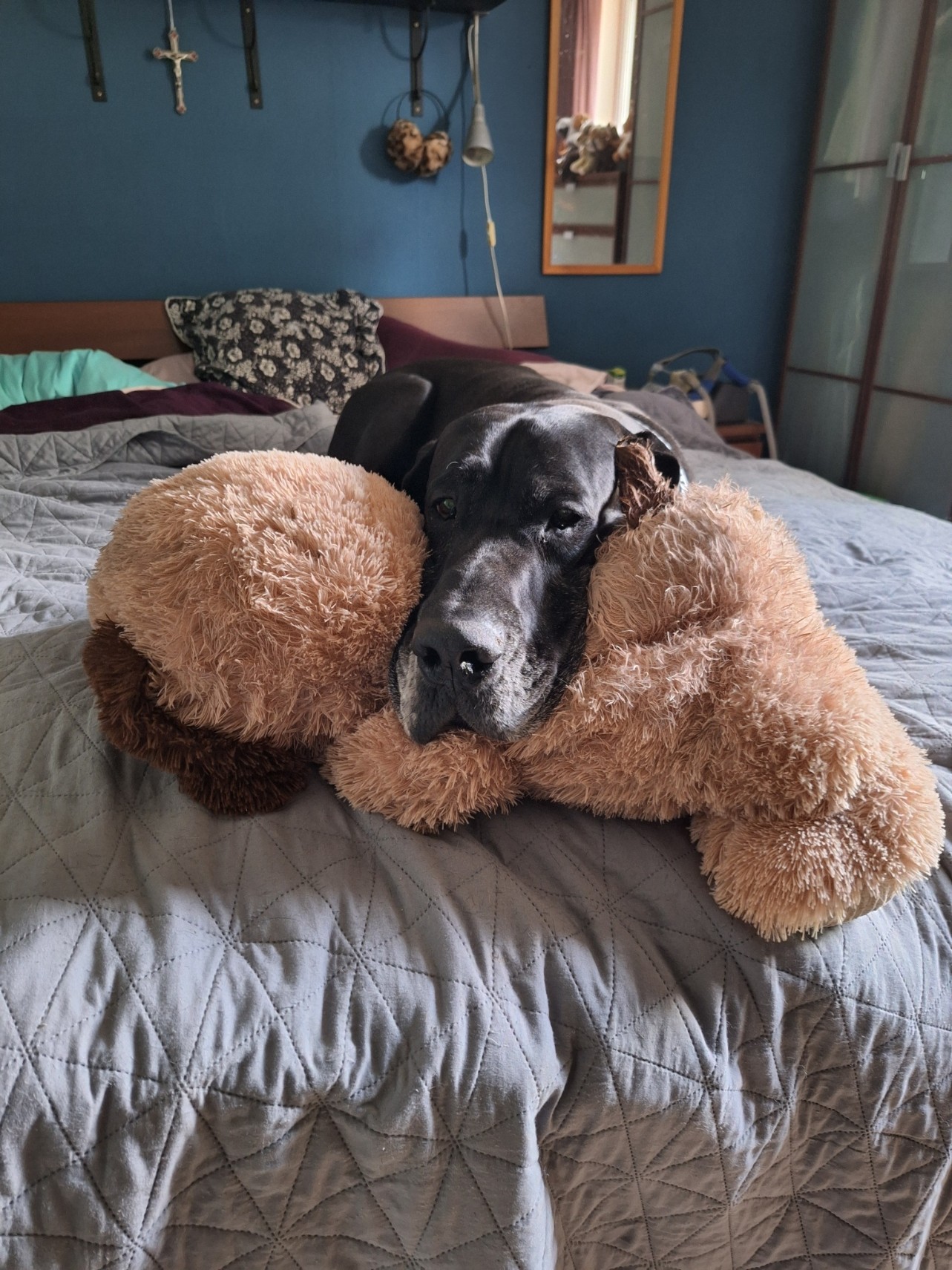 Sieste avec nounours