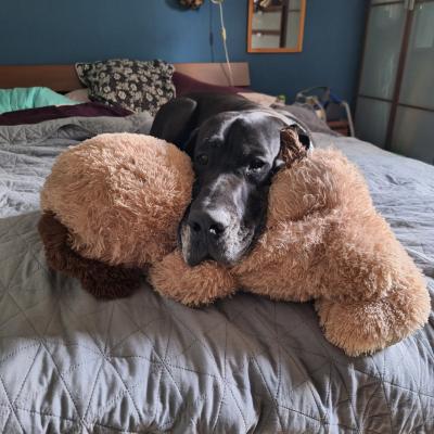 Sieste avec nounours
