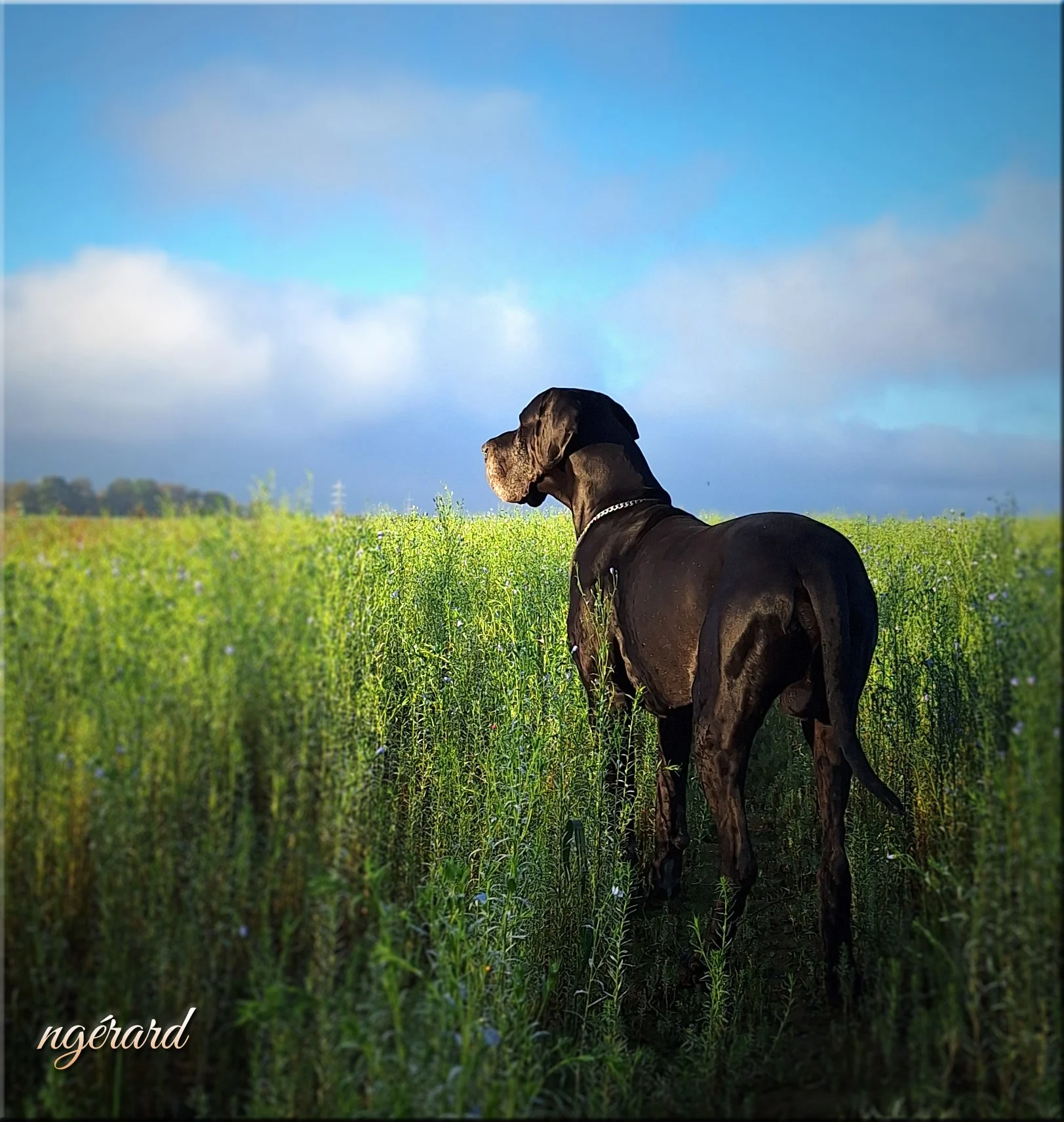 Automne tch3