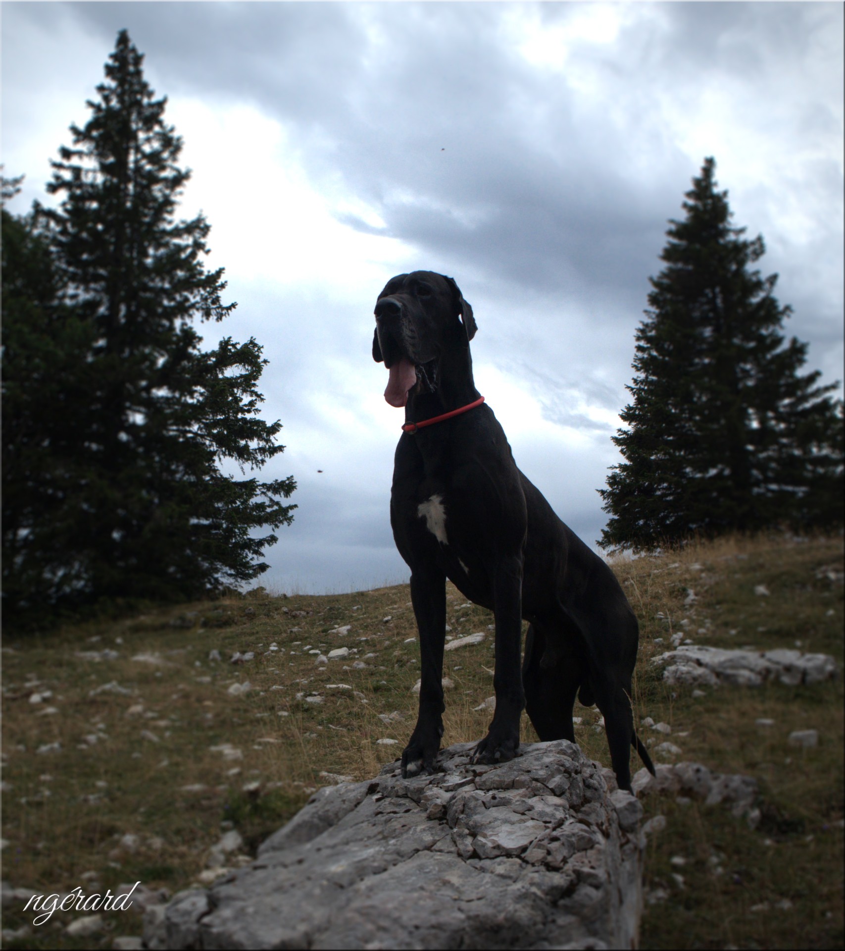 Jura