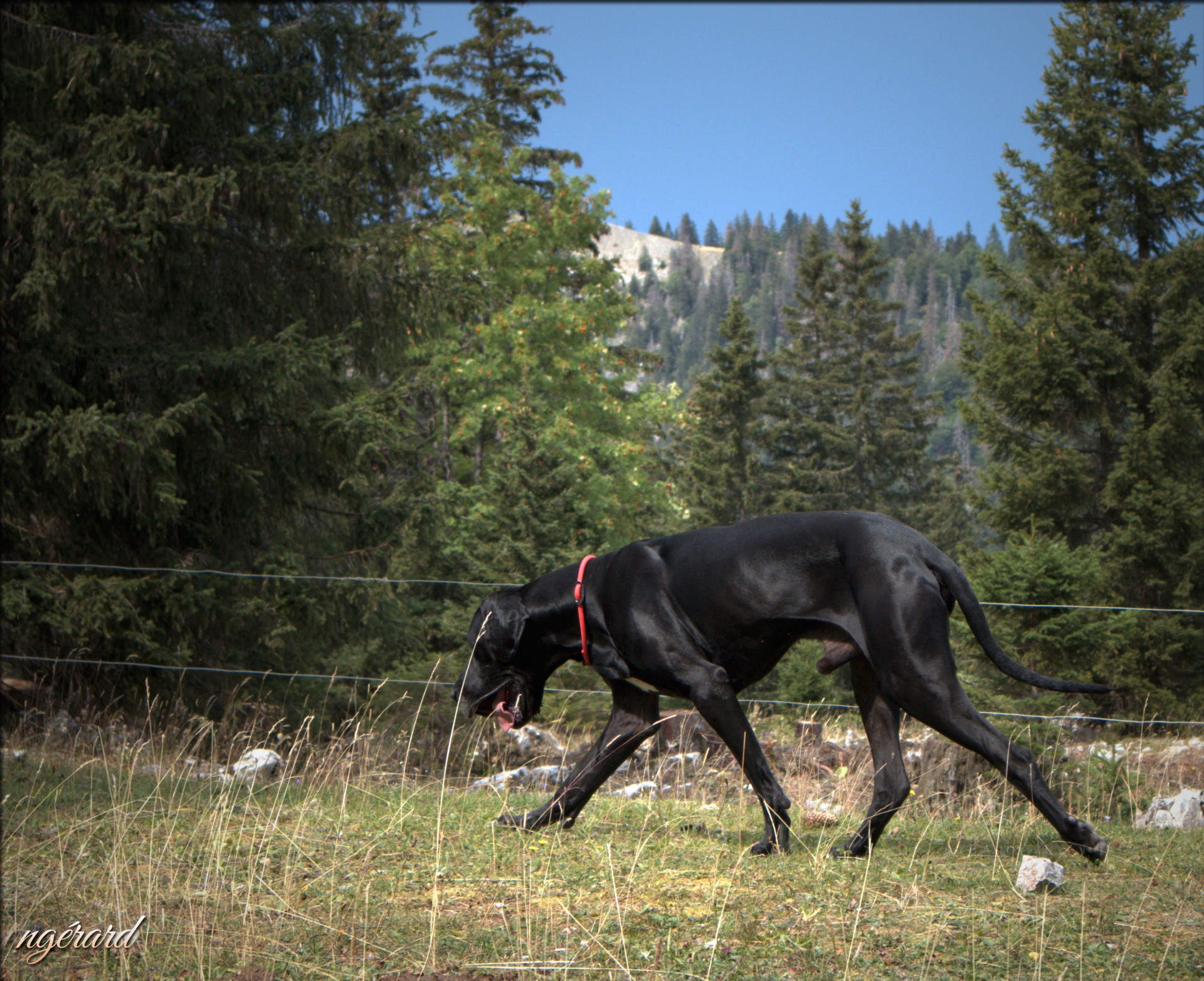Jura