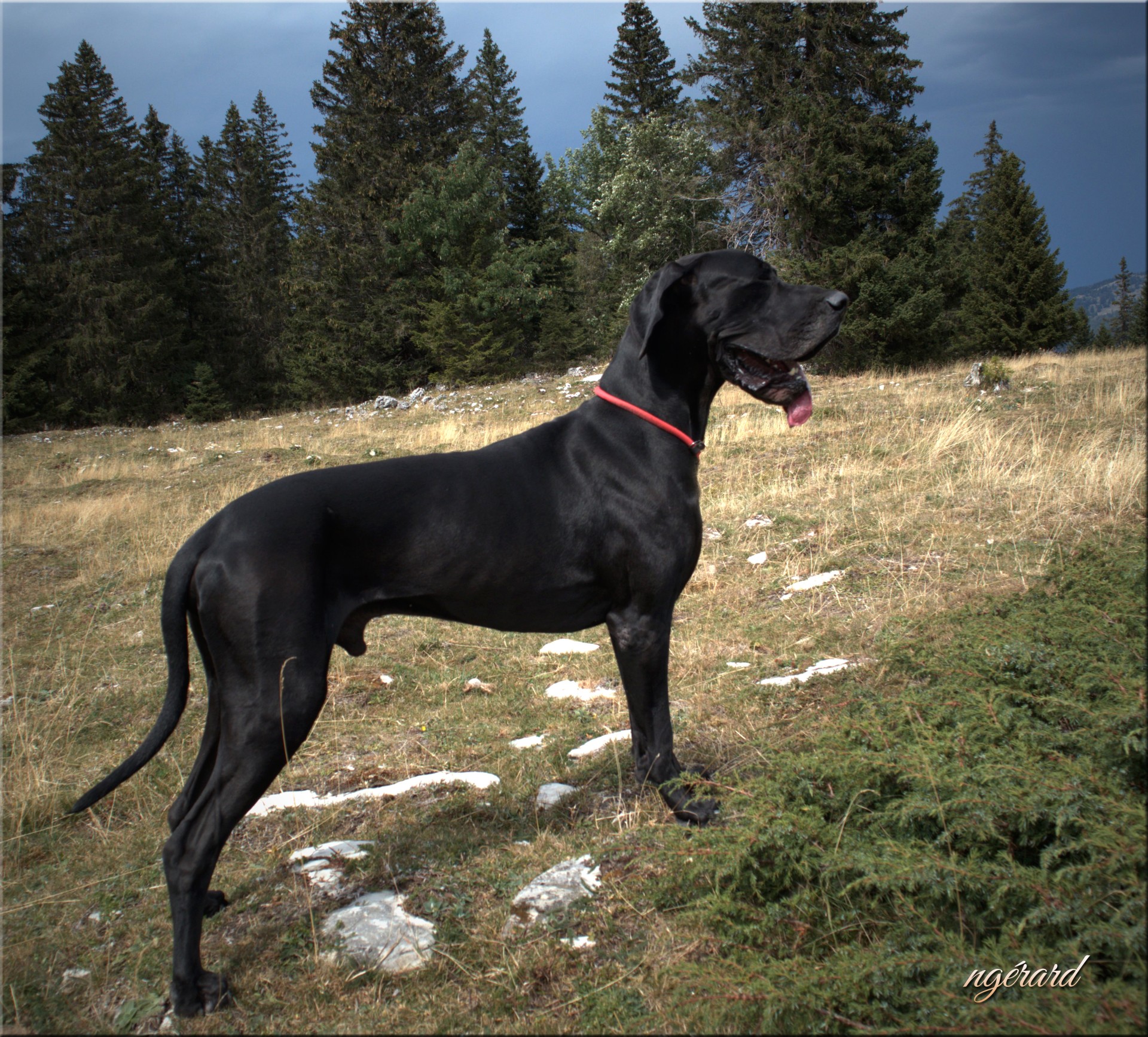 Jura