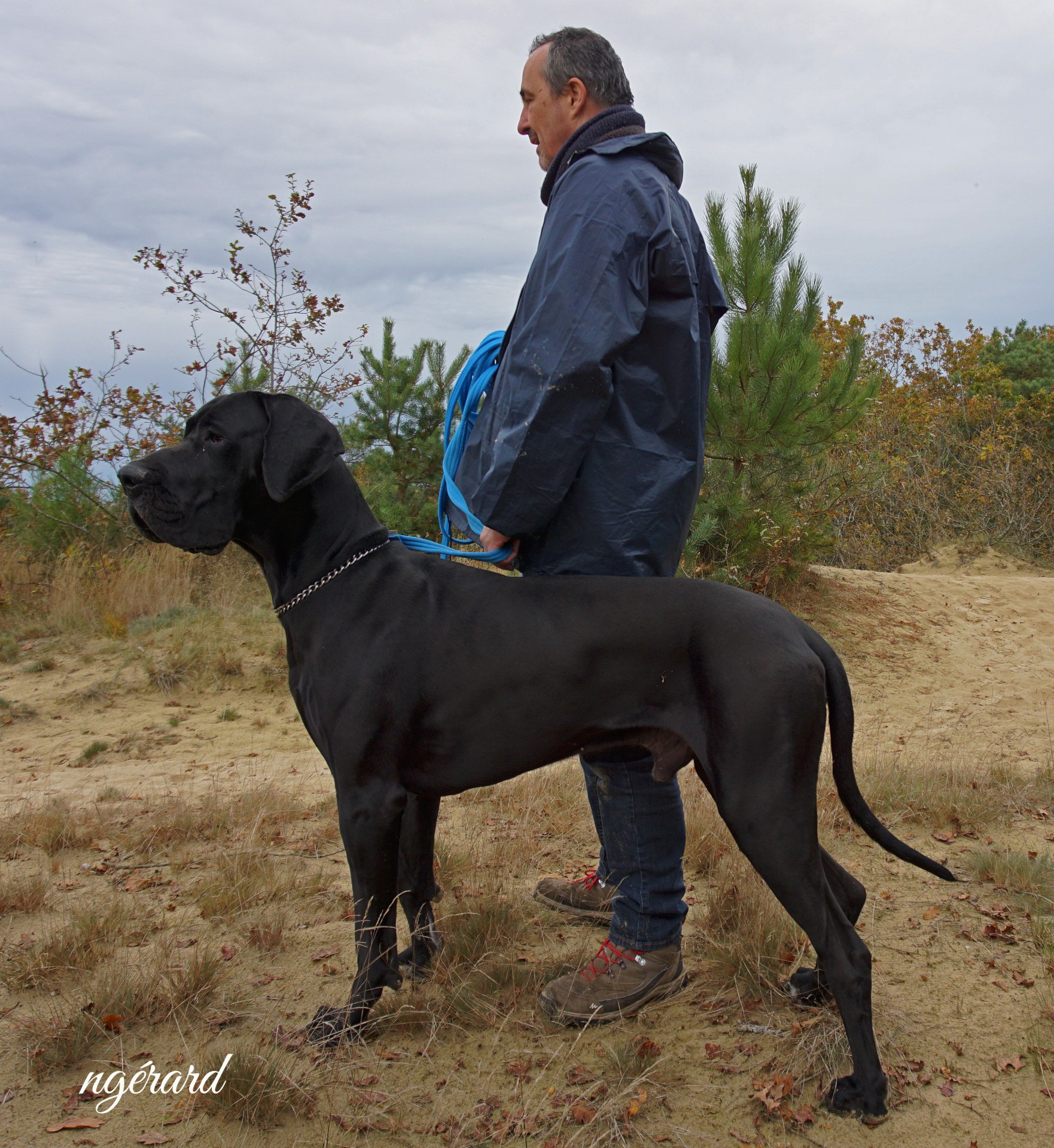 Mer sable Pays Bas  novembre