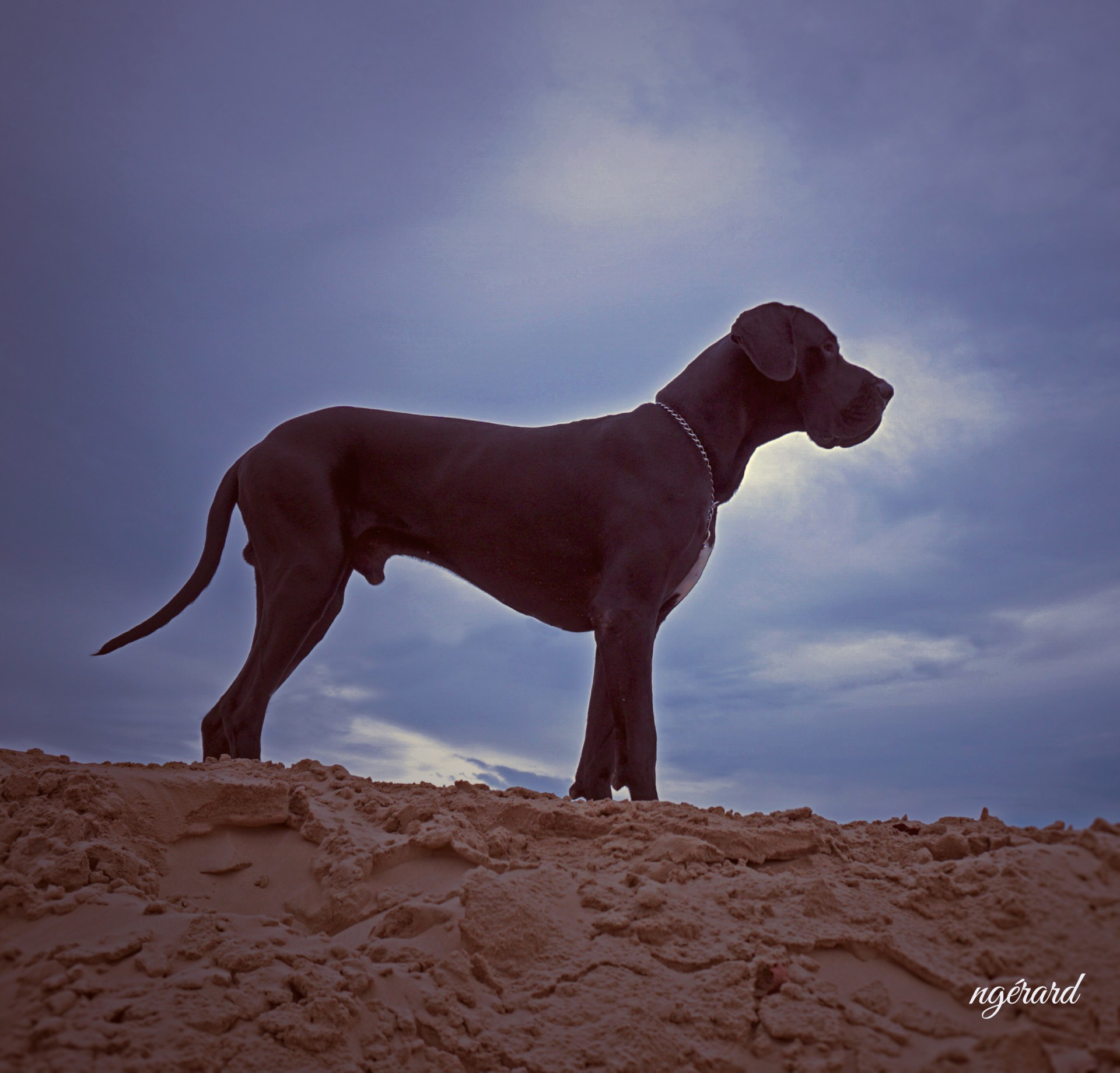 Mer sable Pays Bas, novembre