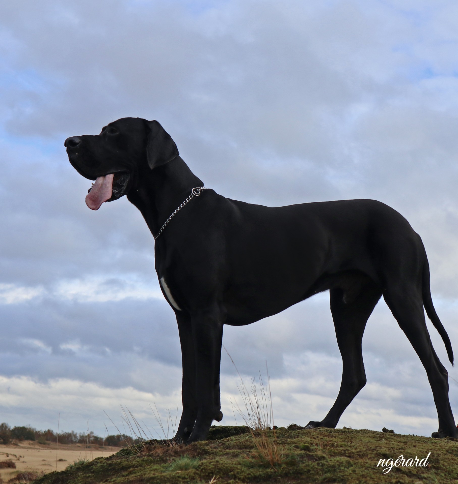 Mer sable