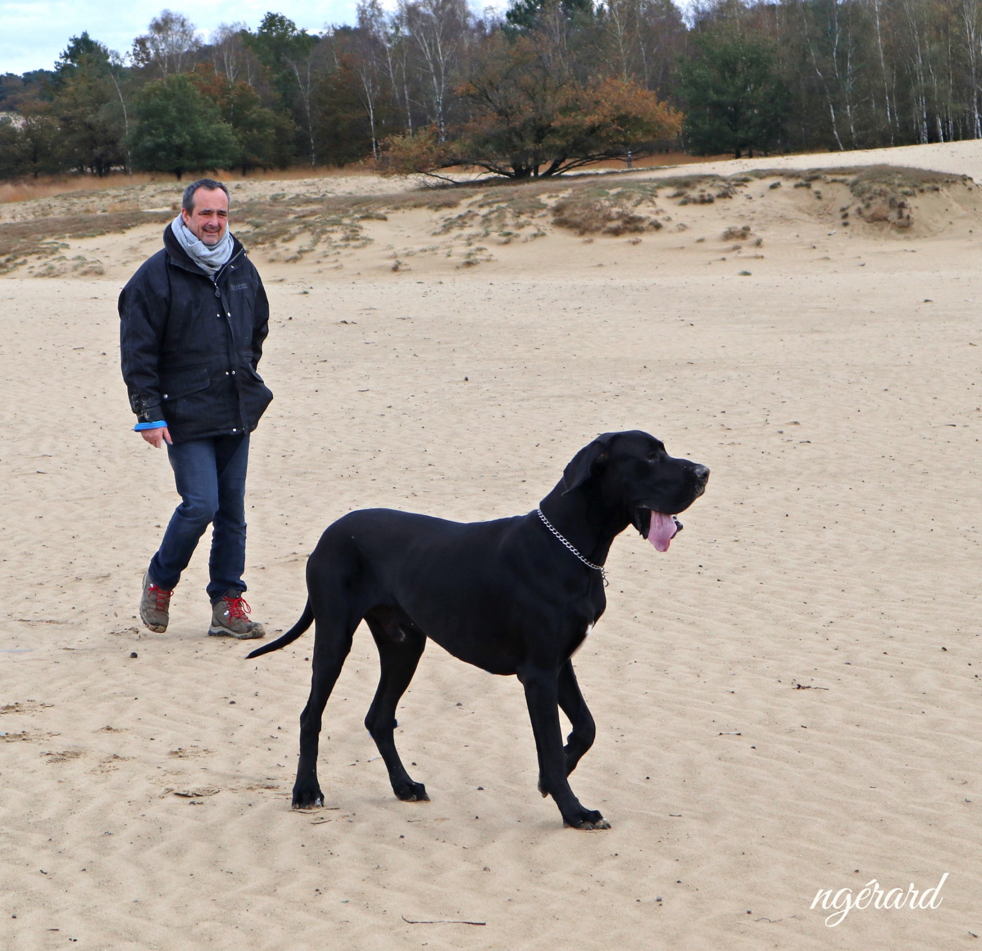 Mer sable