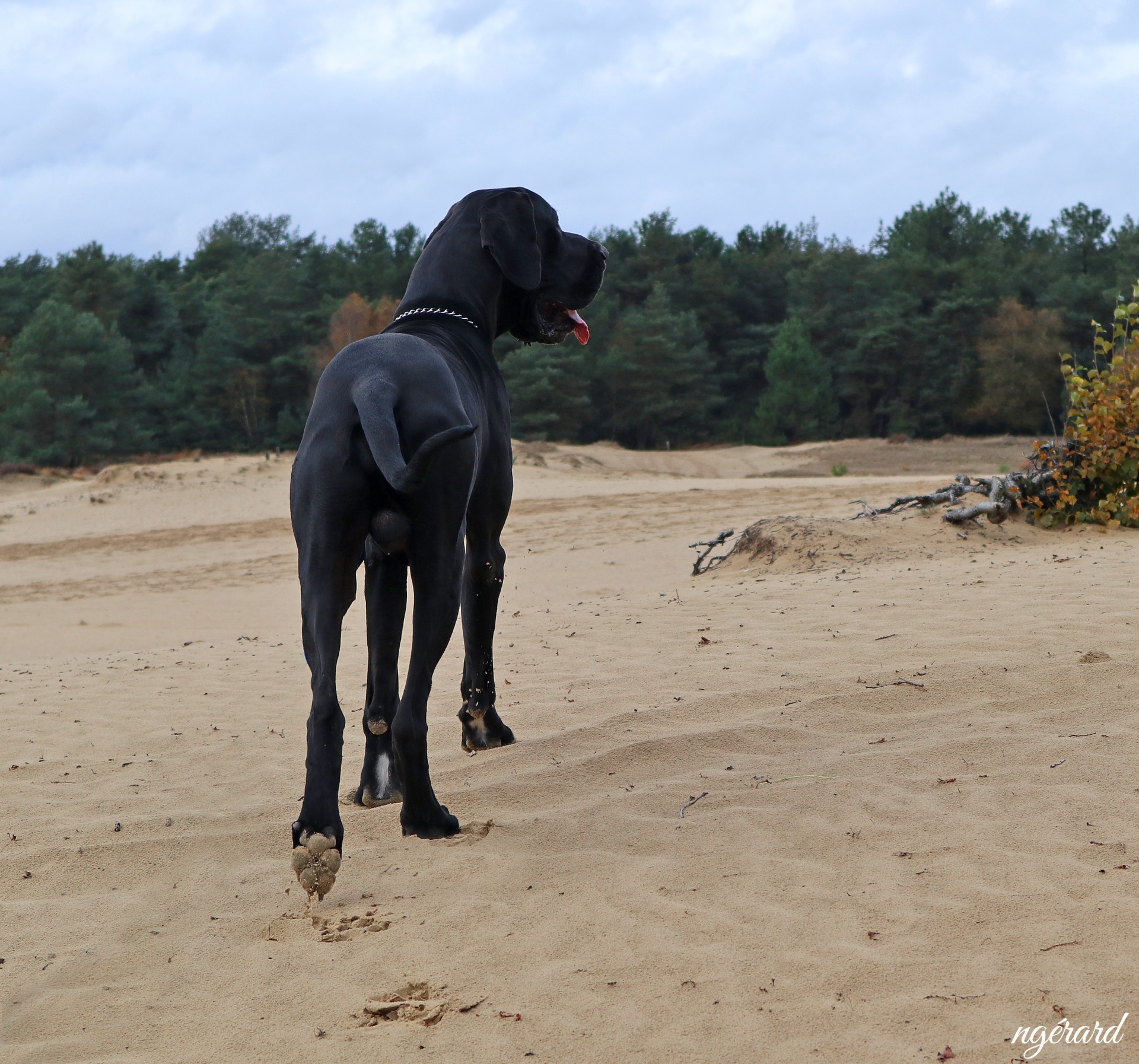 Mer sable