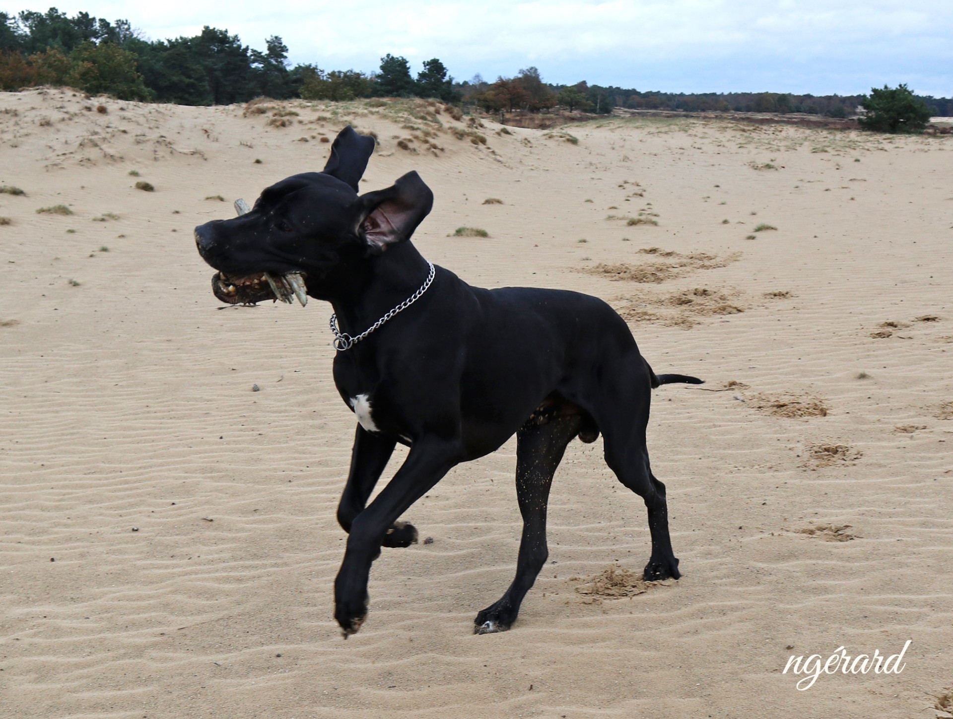 Mer sable