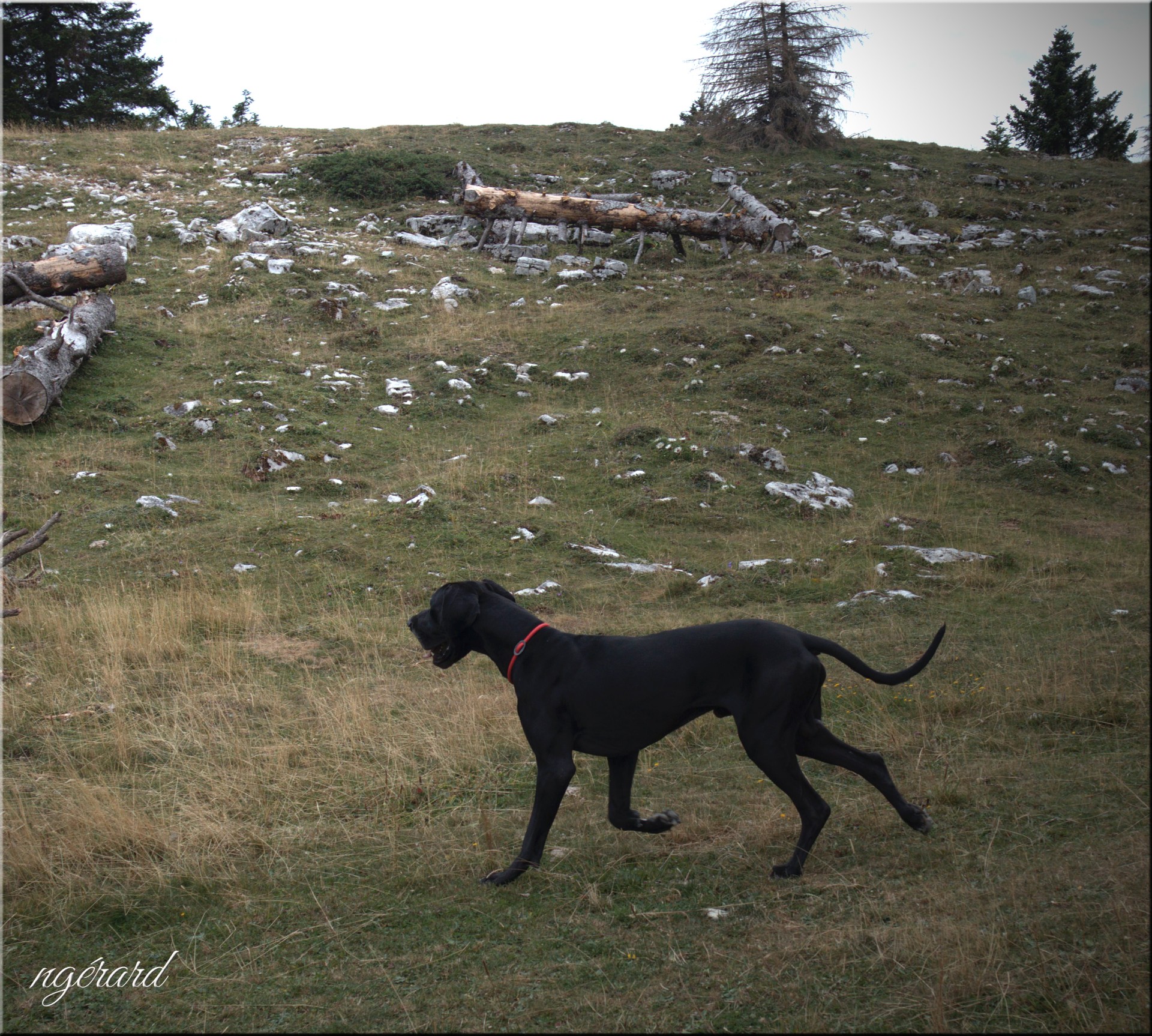 Dans le Jura