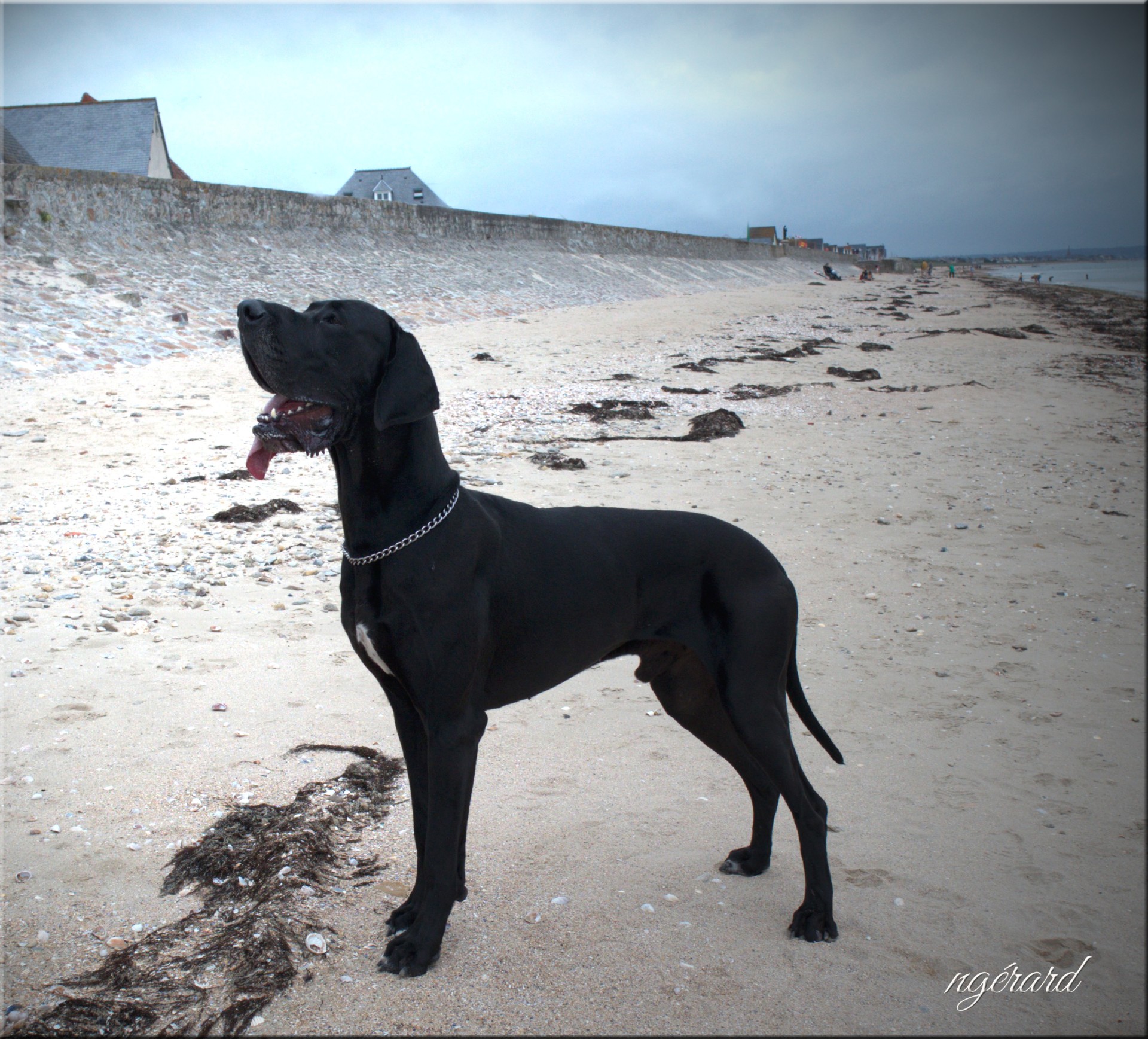 En Normandie