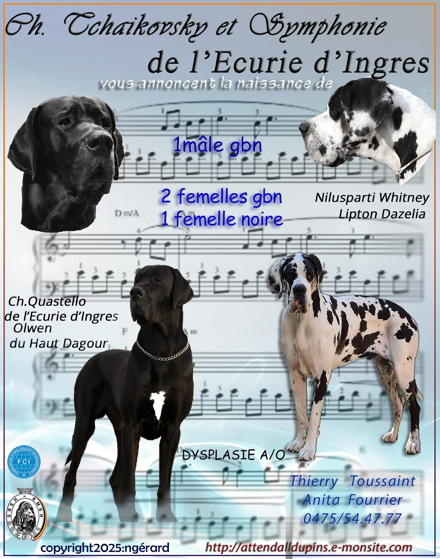 Naiss tch symphonie cygnes