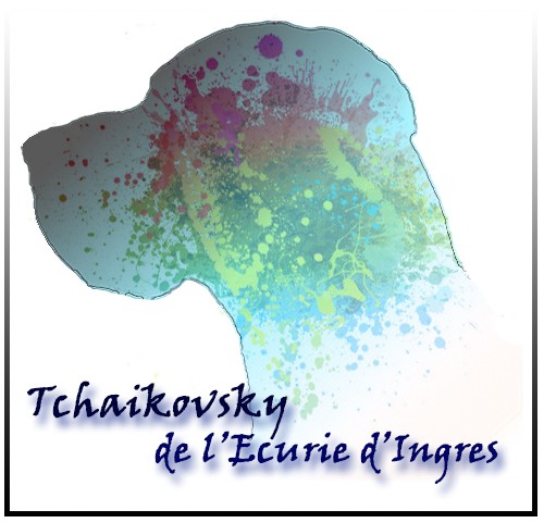 tchaikovsky-de-l-ecurie-d-ingres